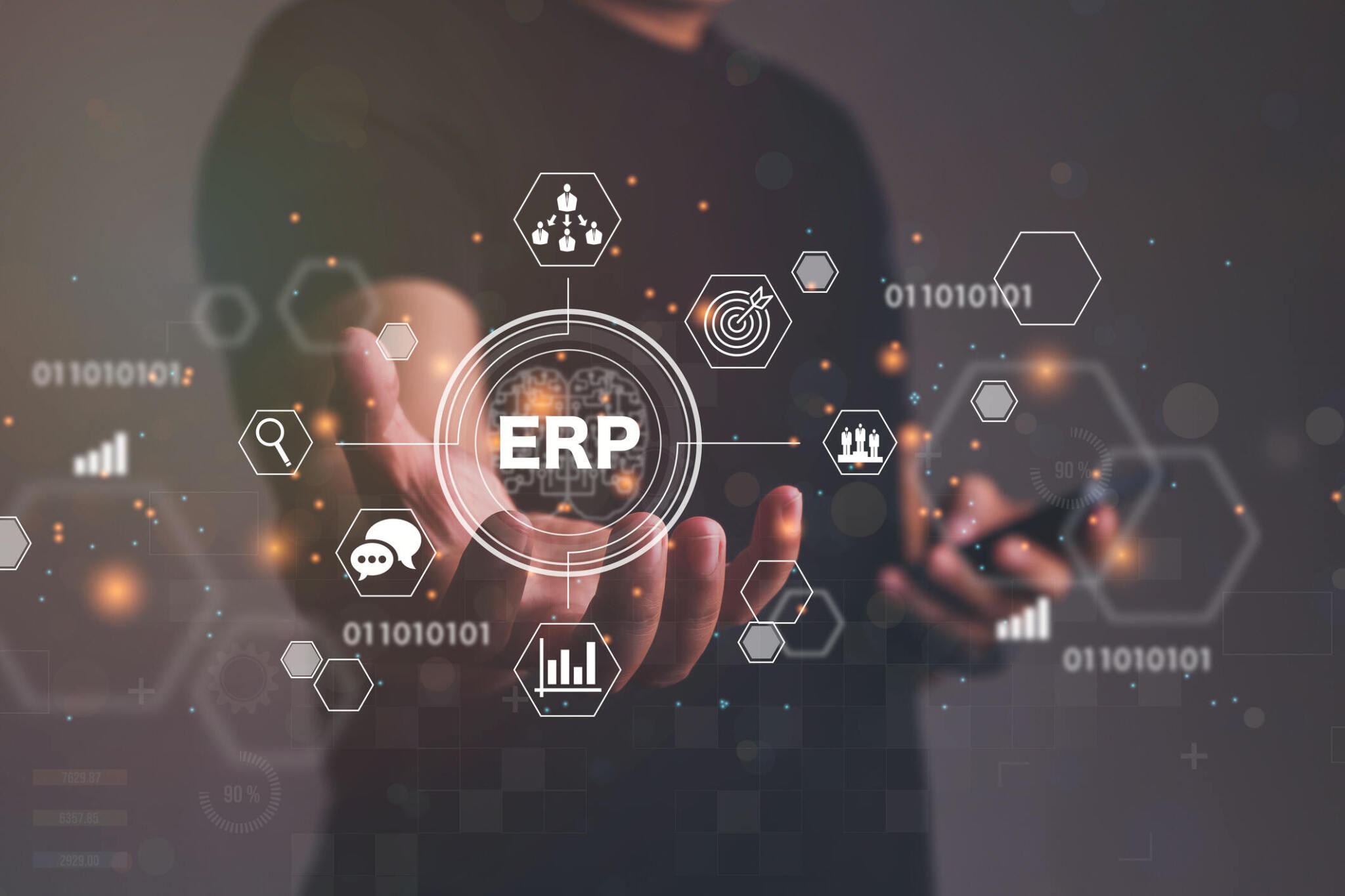 ERP development